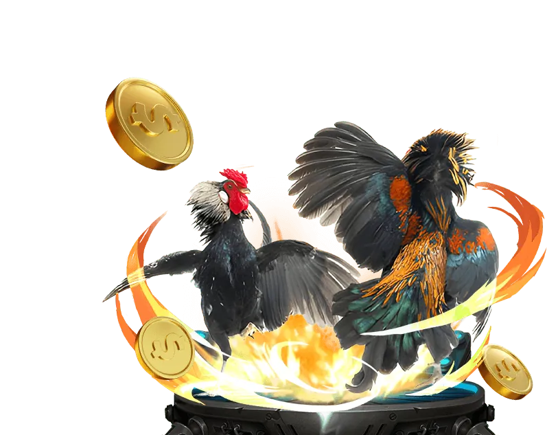 Ưu điểm vượt trội của kk88 casino trong cá cược đá gà